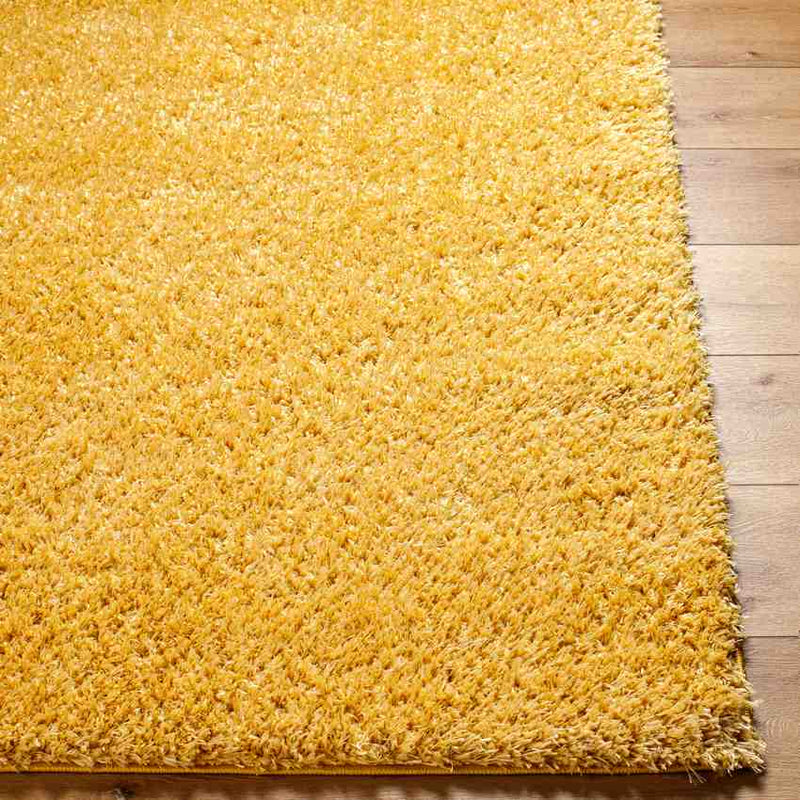 Charon Shag Saffron Area Rug