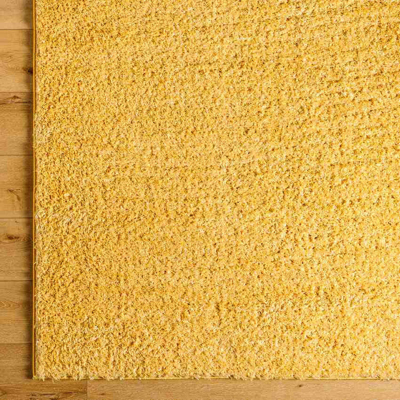 Charon Shag Saffron Area Rug