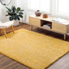 Charon Shag Saffron Area Rug