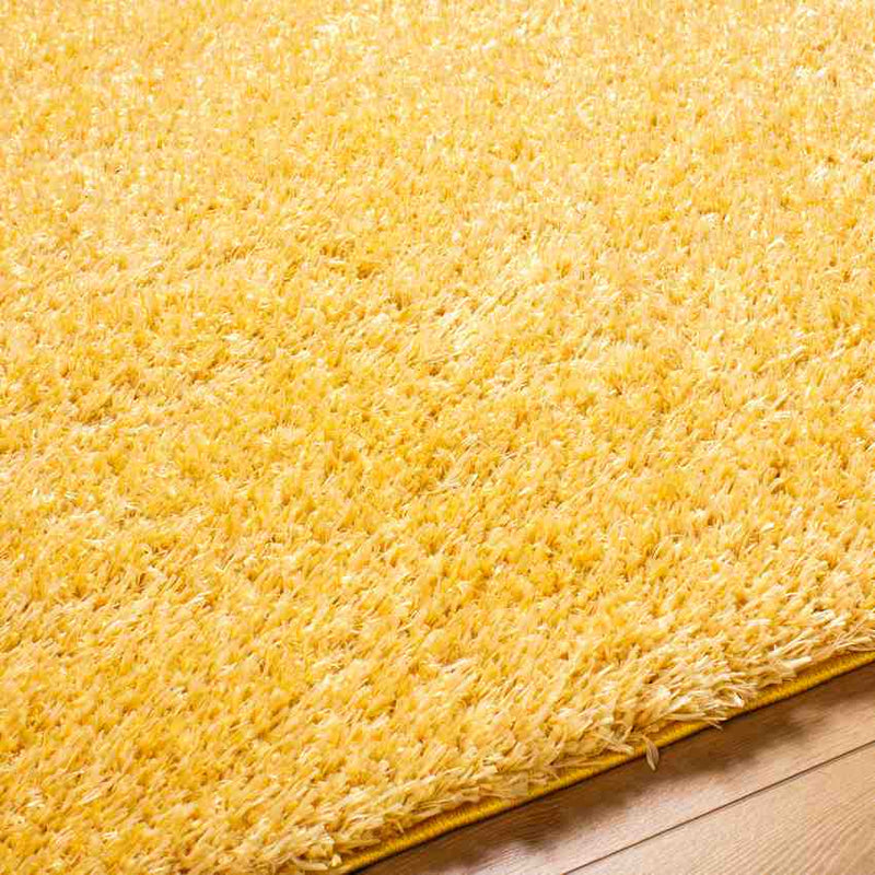 Charon Shag Saffron Area Rug