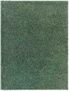 Charon Shag Dark Green Area Rug