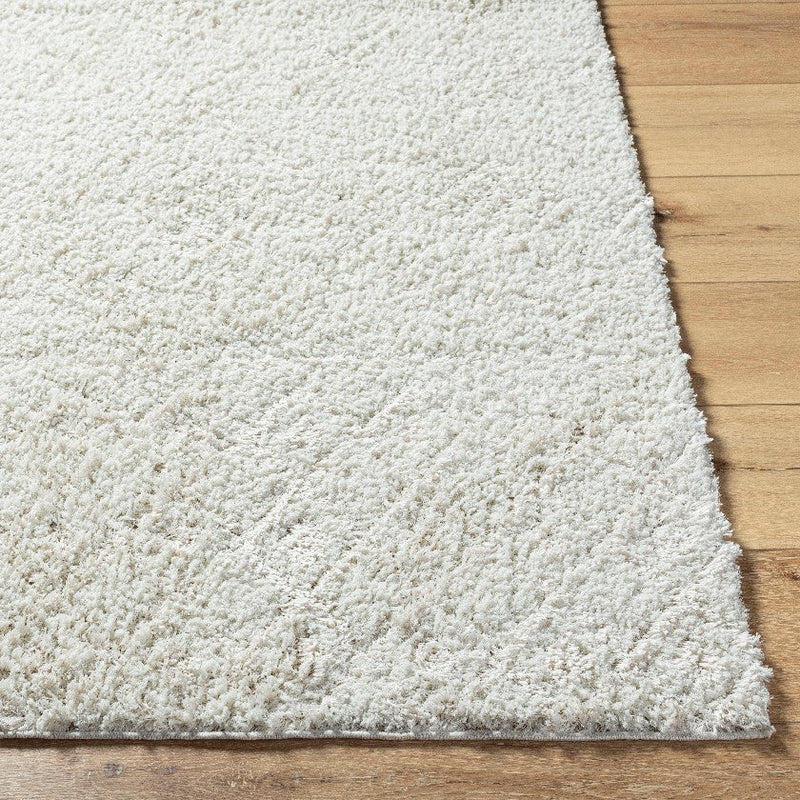Jalon Modern Off-White Area Rug