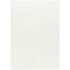Magdiel Modern Ivory Area Rug