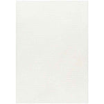 Magdiel Modern Ivory Area Rug