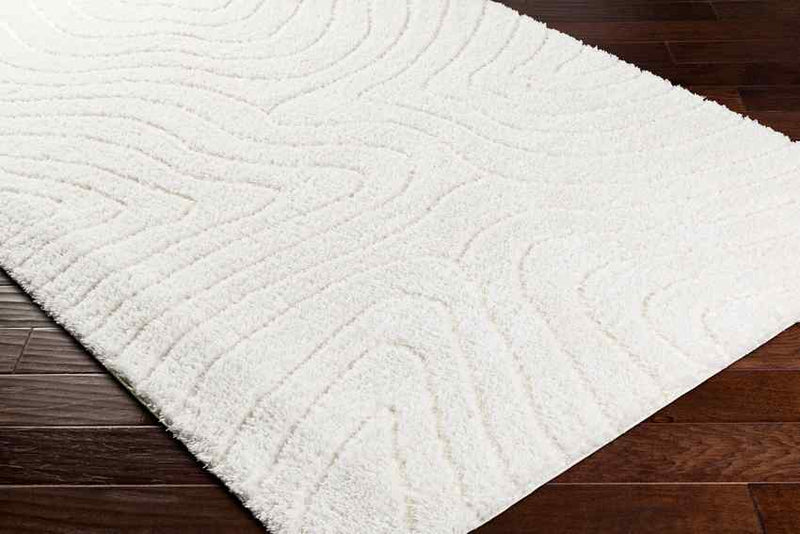 Favio Modern Light Beige Area Rug