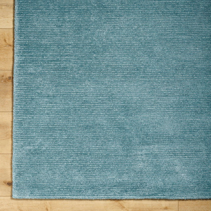 Jett Solid and Border Denim Area Rug