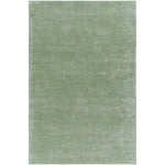 Jett Solid and Border Moss Area Rug