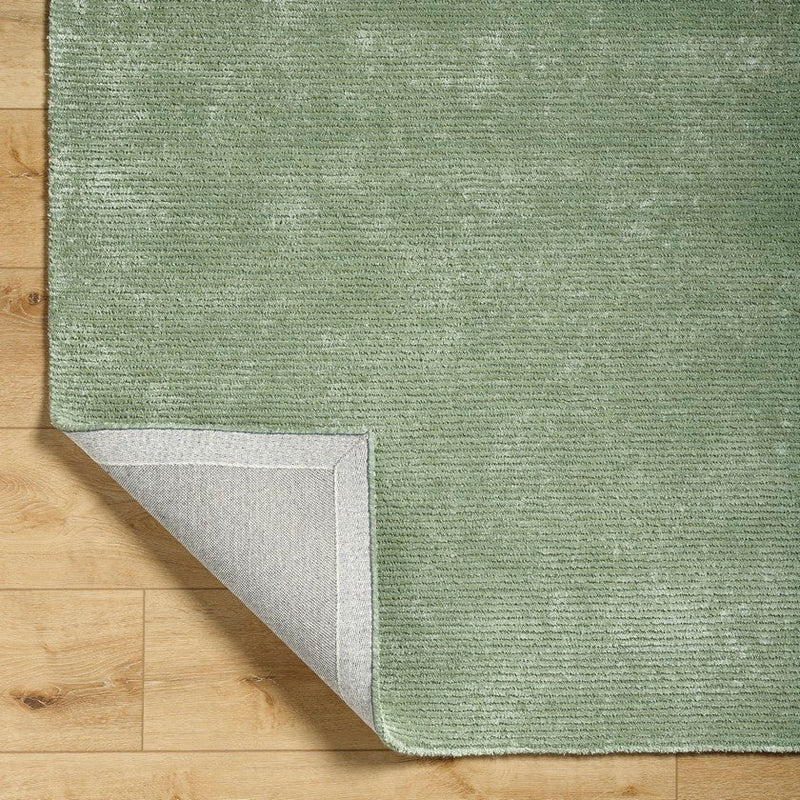 Jett Solid and Border Moss Area Rug