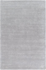 Jett Solid and Border Light Gray Area Rug