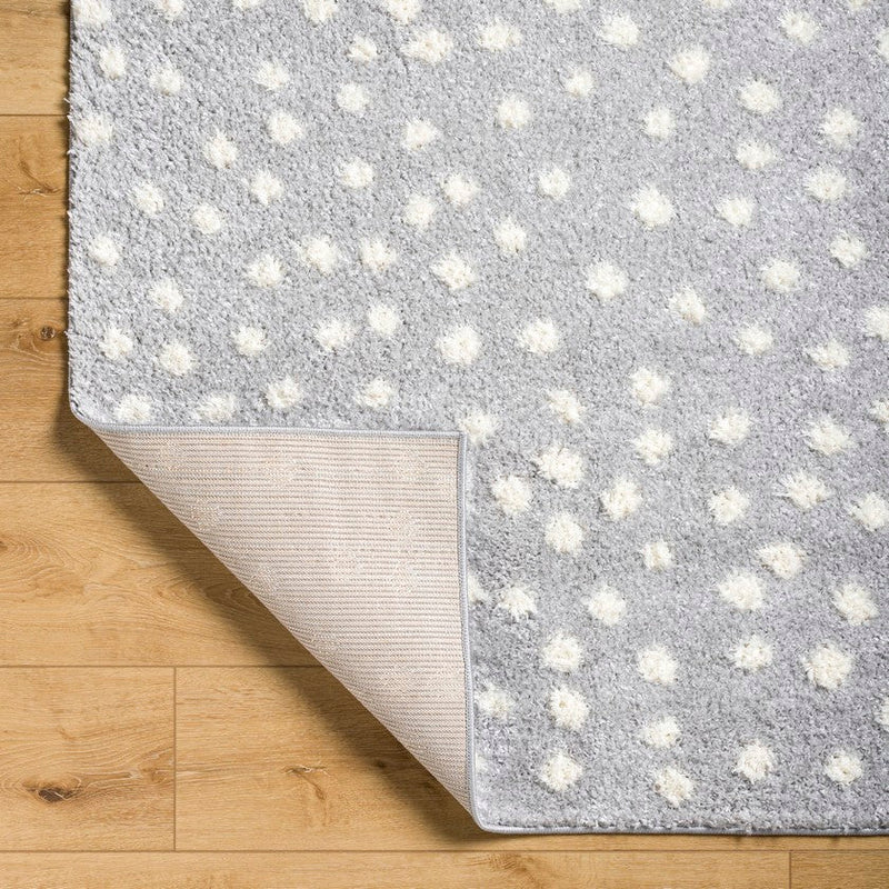 Nyisha Modern Gray Area Rug
