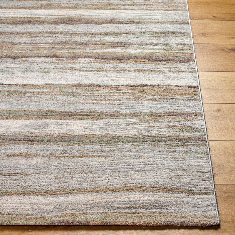 Ermerveen Modern Dark Brown Area Rug