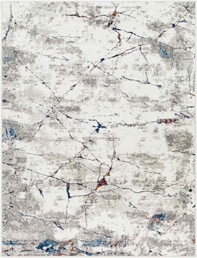 Ricci Modern Medium Gray Area Rug