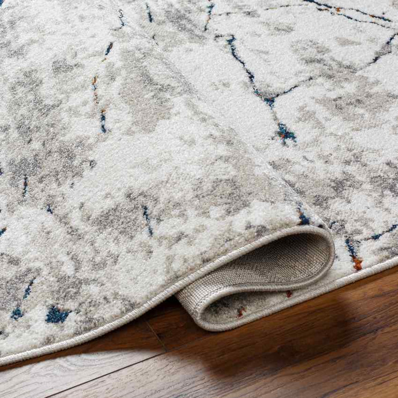 Ricci Modern Medium Gray Area Rug