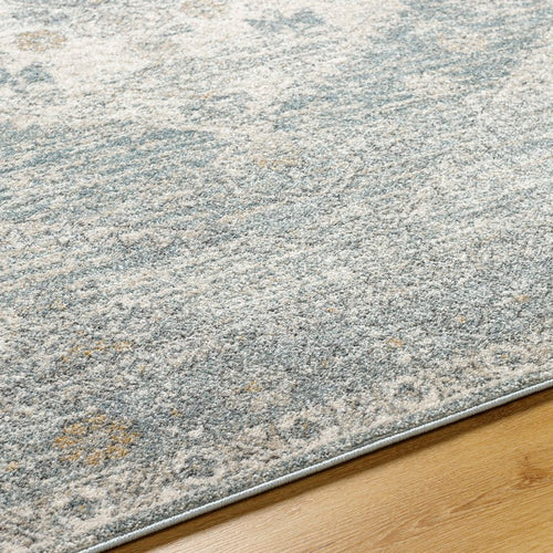 Shaila Traditional Denim/Charcoal Area Rug
