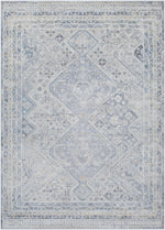 Dakesha Traditional Charcoal/Beige Area Rug