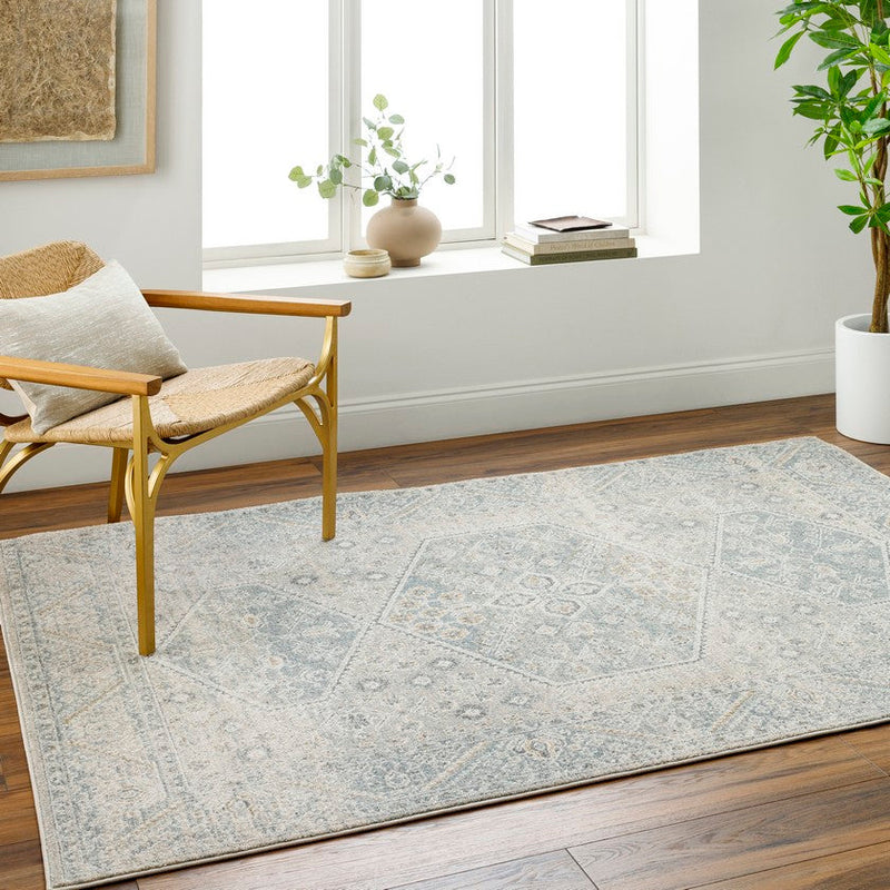 Demarco Traditional Denim/Charcoal Area Rug
