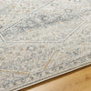 Demarco Traditional Light Gray Area Rug