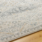 Demarco Traditional Light Gray Area Rug