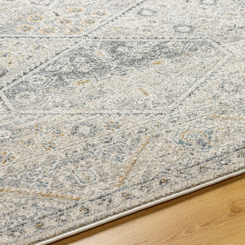 Demarco Traditional Light Gray Area Rug