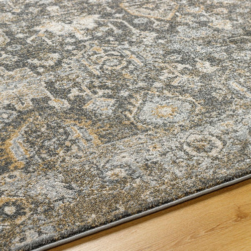 Catarino Traditional Black/Light Gray Area Rug