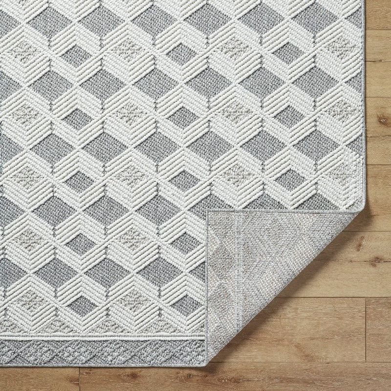 Aryan Modern Light Gray Area Rug