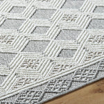 Aryan Modern Light Gray Area Rug
