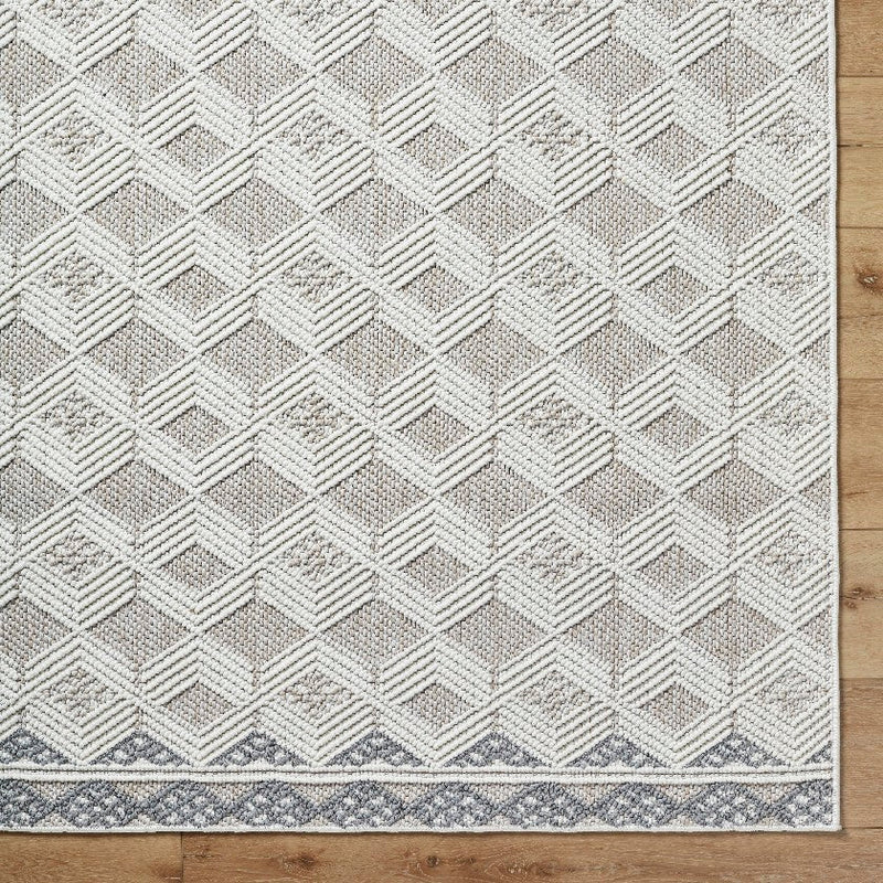 Aryan Modern Ivory Area Rug