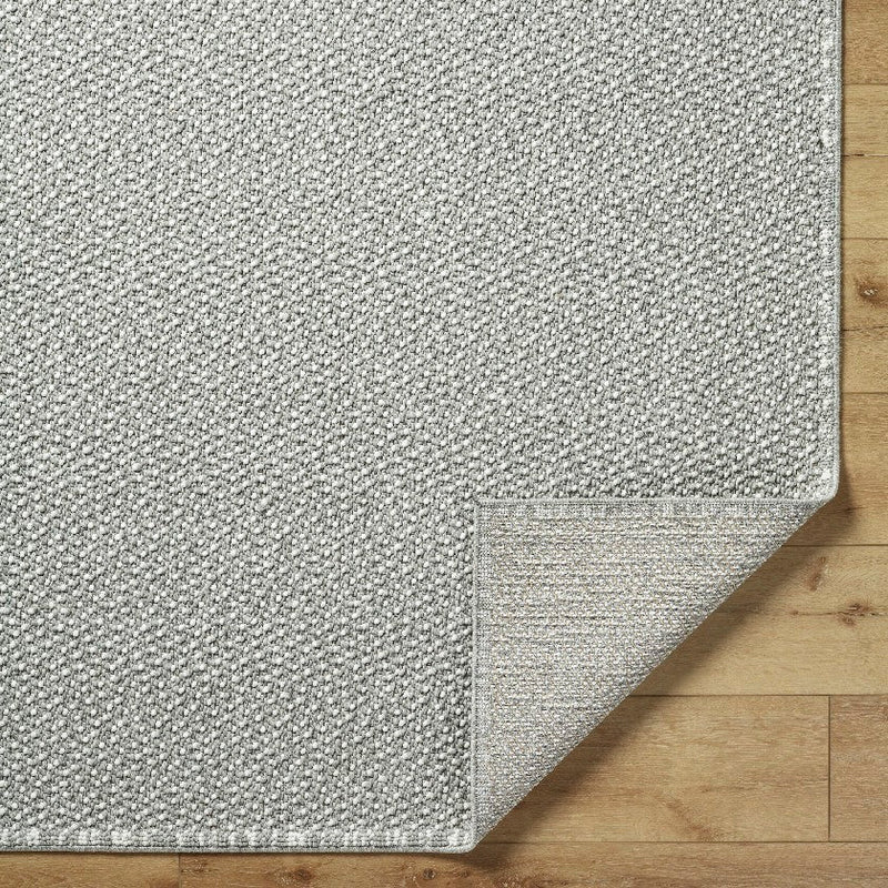 Deniz Solid and Border Light Gray Area Rug