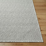 Deniz Solid and Border Light Gray Area Rug