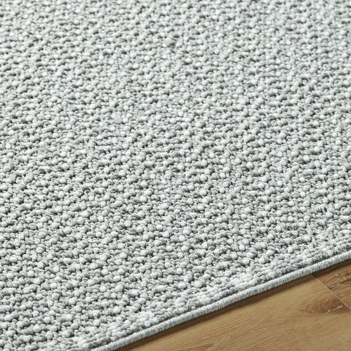 Deniz Solid and Border Light Gray Area Rug