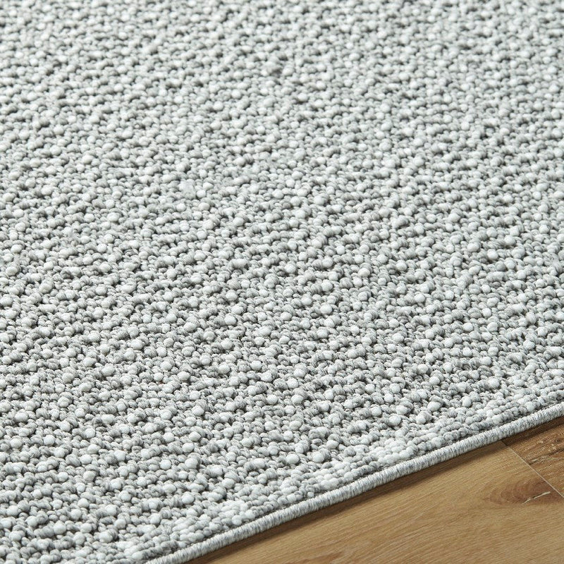 Deniz Solid and Border Light Gray Area Rug