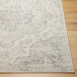 Lola Traditional Medium Gray Area Rug