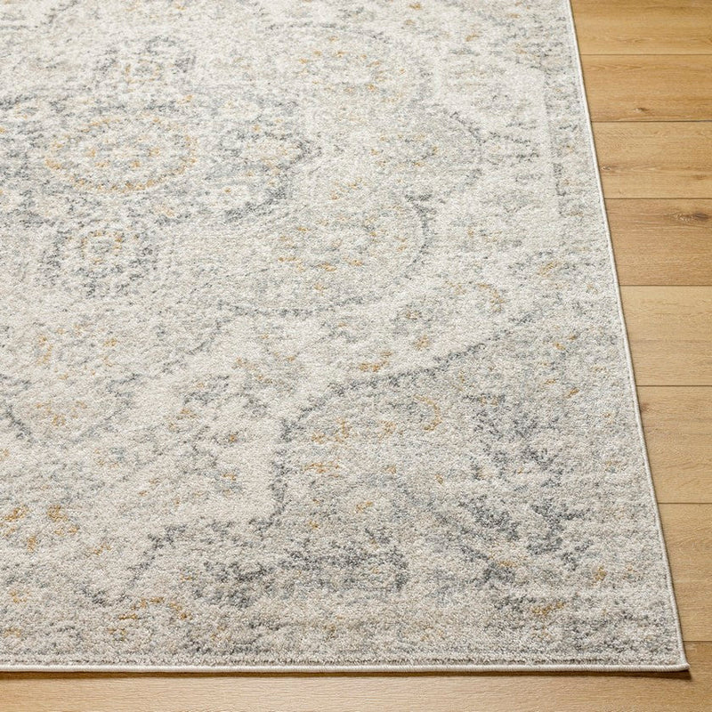 Lola Traditional Medium Gray Area Rug