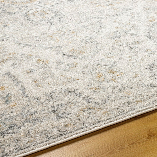 Lola Traditional Medium Gray Area Rug