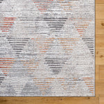 Robina Modern Charcoal Area Rug