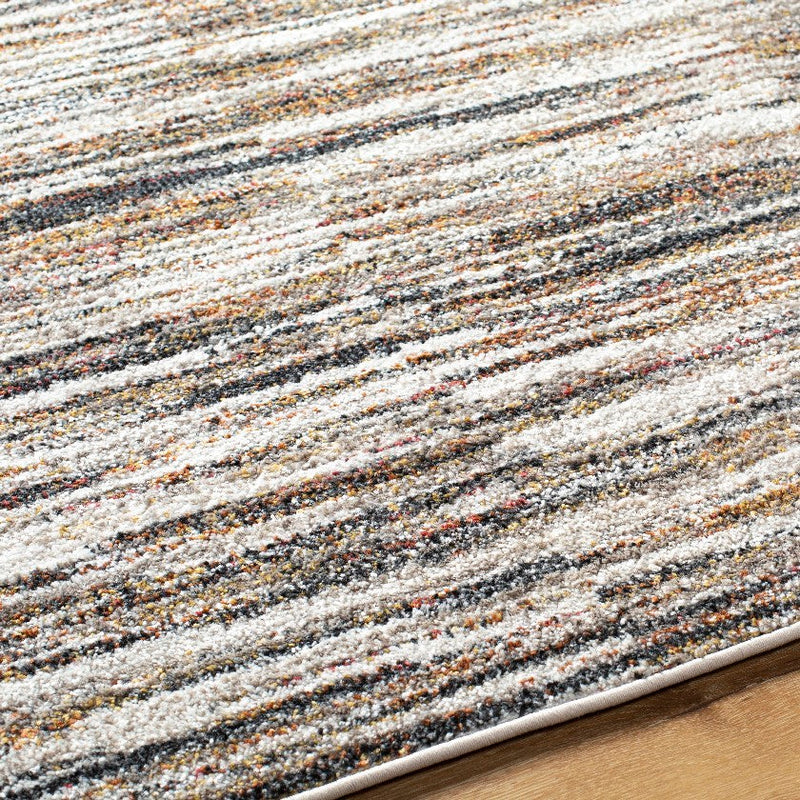 Adarius Modern Charcoal Area Rug