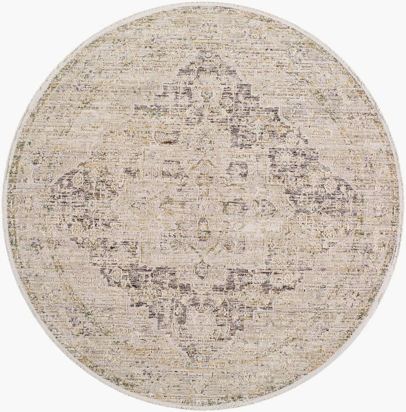 Sandrea Traditional Light Brown Area Rug