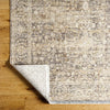Jawad Traditional Light Brown/Light Slate Area Rug