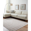 Cerrissa Modern Light Grey Area Rug