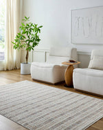 Cerrissa Modern Light Grey Area Rug