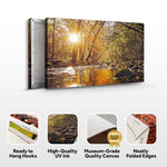 Sunlit River Woods Canvas Wall Art
