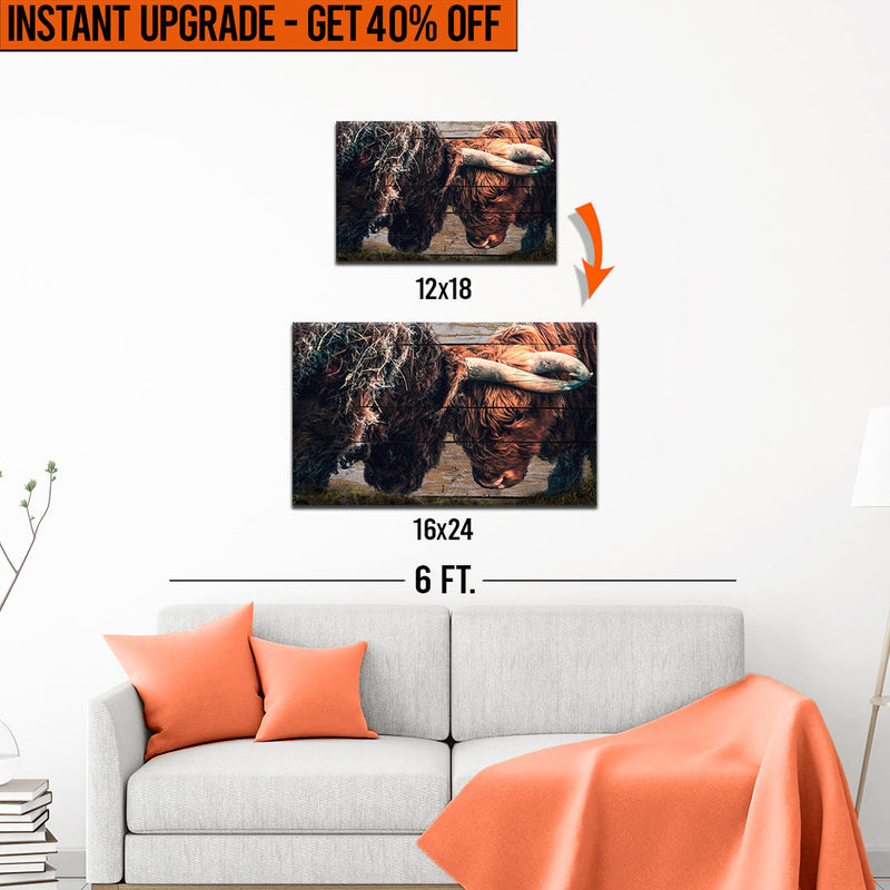Upgrade Your 18x12 Inches 'Highland Cow Sparring' Canvas To 16x24 Inches