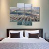 Tequila Jalisco Agave Field Wall Art