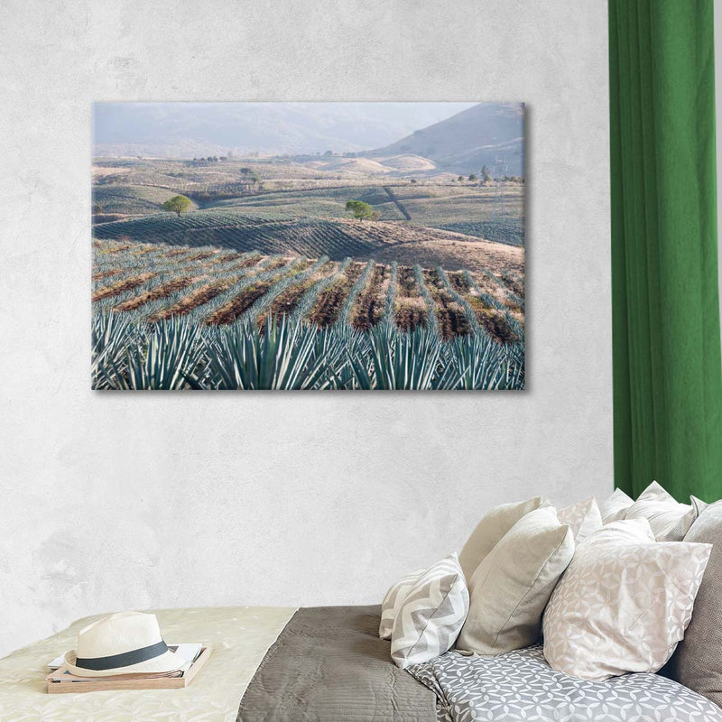 Tequila Jalisco Agave Field Wall Art
