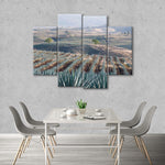 Tequila Jalisco Agave Field Wall Art
