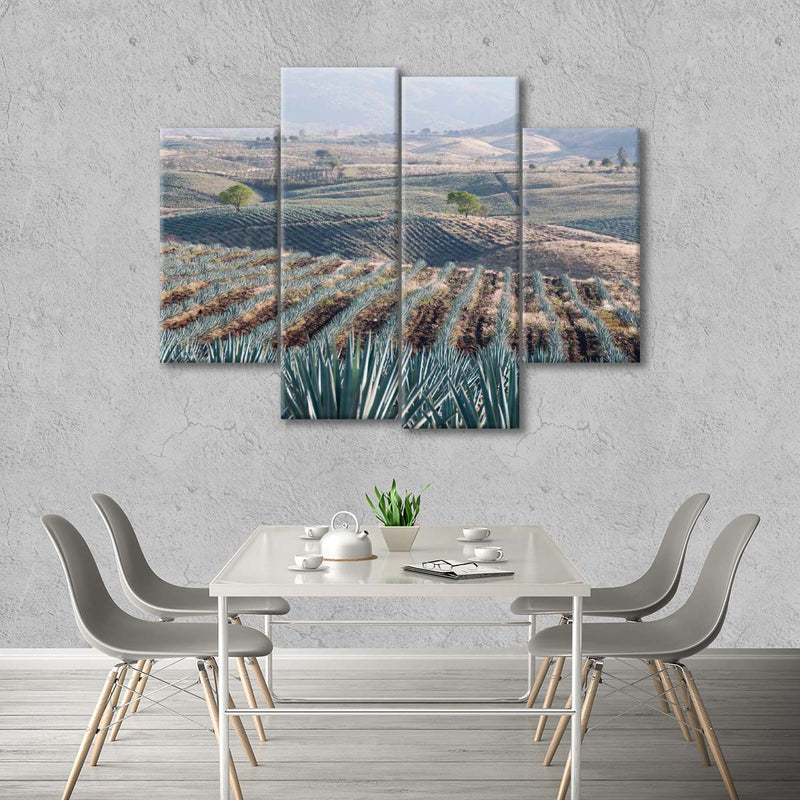 Tequila Jalisco Agave Field Wall Art