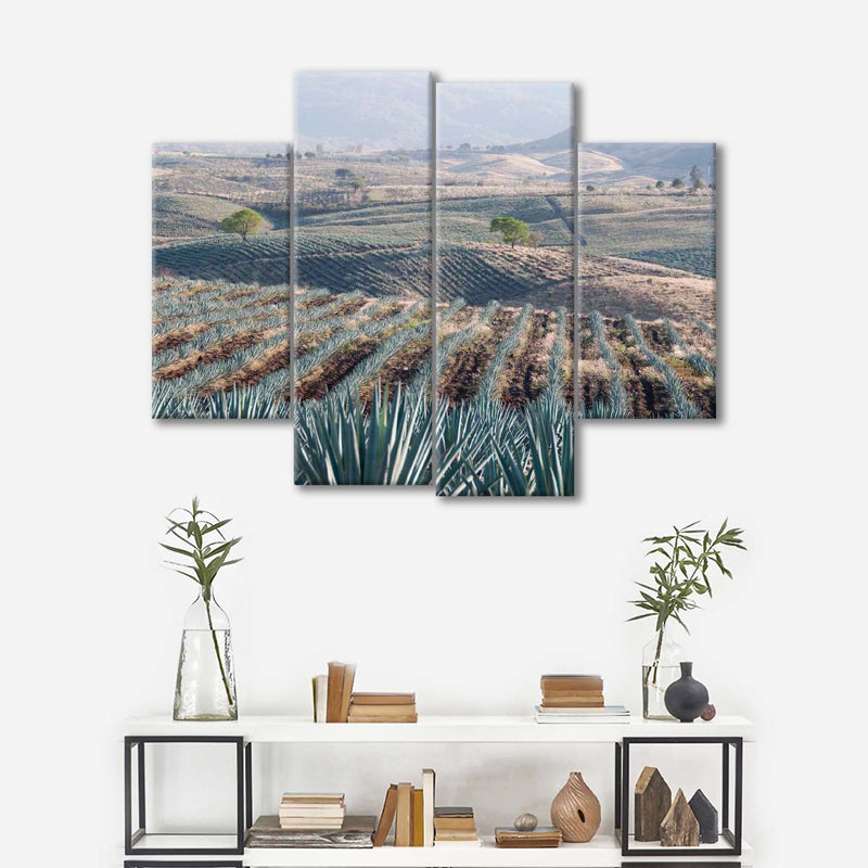 Tequila Jalisco Agave Field Wall Art