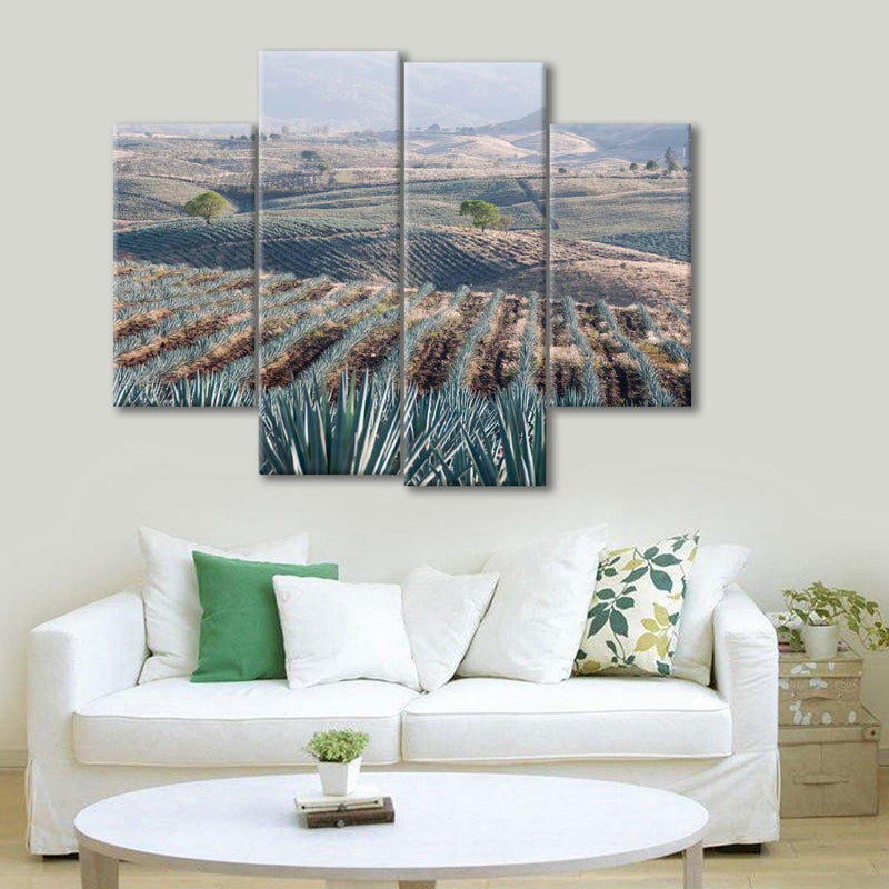 Tequila Jalisco Agave Field Wall Art