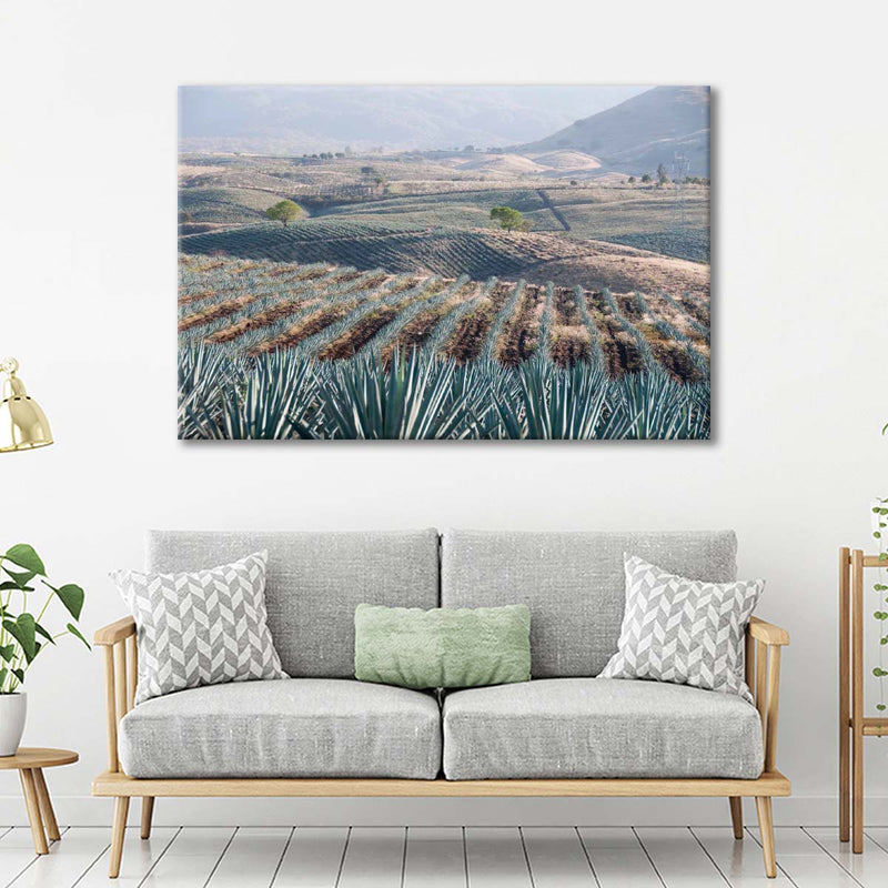 Tequila Jalisco Agave Field Wall Art