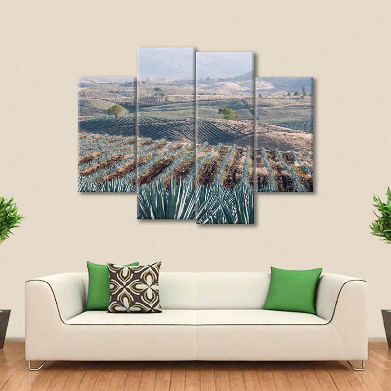 Tequila Jalisco Agave Field Wall Art